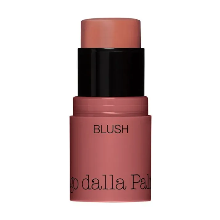 All In One Blush 45 Diego Dalla Palma 4g
