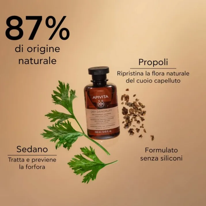 Apivita Dry Anti-Dandruff Shampoo 250ml