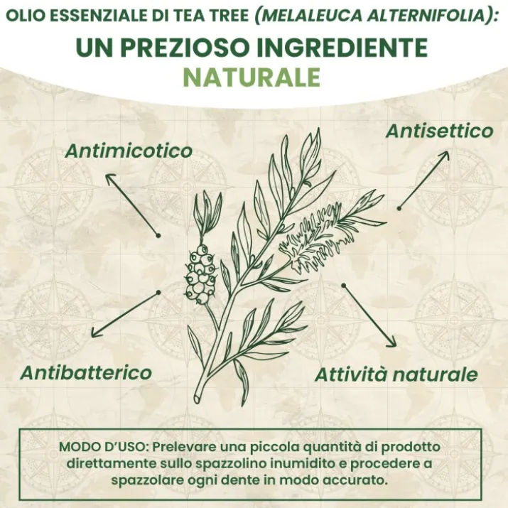 Australian Company Tea Tree Dentifricio, 100 ml