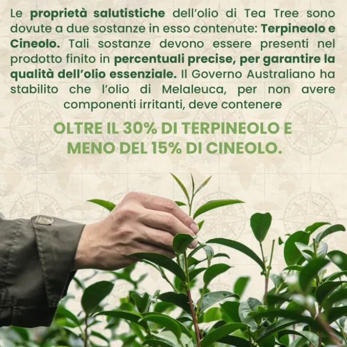 Australian Company Tea Tree Dentifricio, 100 ml