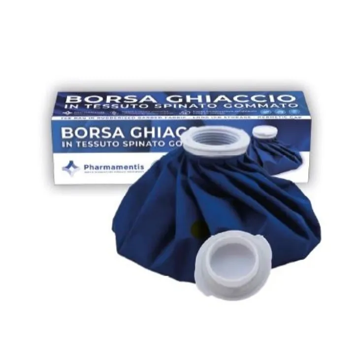 Borsa Ghiaccio