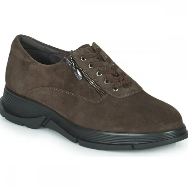 Bristol Zip Woman Marrone Scuro Scholl 1 Paio