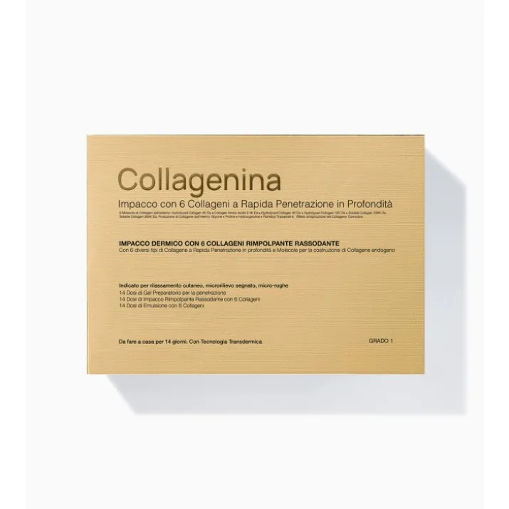 Collagenina Impacco 6 Collageni Grado 1 Labo 1 Kit