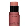 DDP ALL IN ONE BLUSH 41