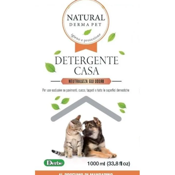 DETERGENTE IGIEN CASA MANDARIN