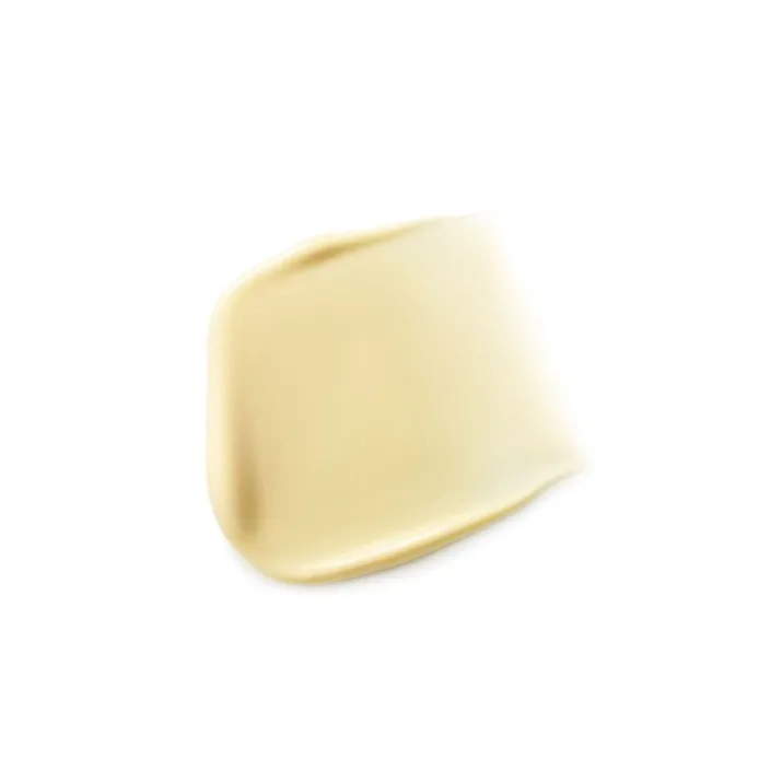 Dr. hauschka Crema Rigenerante Intensiva per il Viso 40 ml
