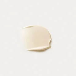 Dr. hauschka Crema Rigenerante Collo e Décolleté Rassodante Antirughe 40 ml