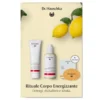 DR HAUSCHKA KIT SUMMER RIT CRP