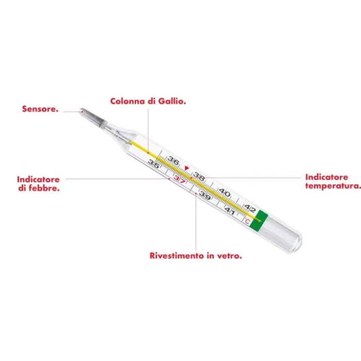 EcoTemp Termometro Clinico Medel 1 Pezzo