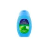 F AZZURRA D/S MENTA & LIME 250 ML