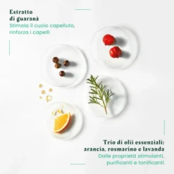 Forticea Shampoo Fortificante Rivitalizzante Rene Furterer 200ml