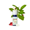 Gaultheria Bio 1 Olio Essenziale Puressentiel 10ml