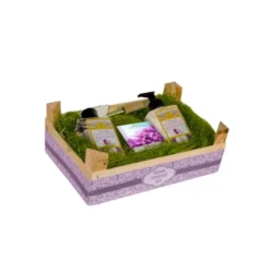 Home Garden Kit Viola della Duchessa di Parma