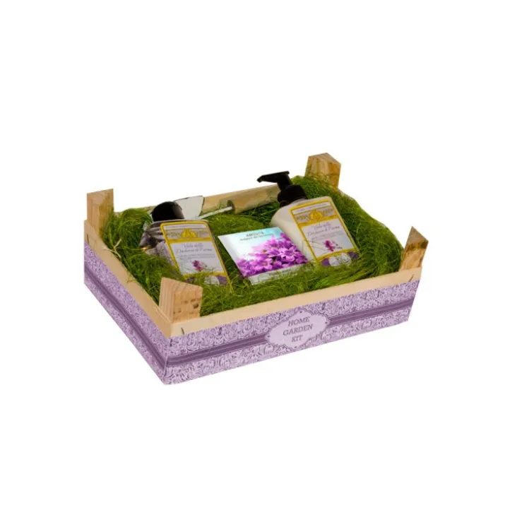 Home Garden Kit Viola della Duchessa di Parma