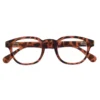 Occhiali da Lettura Everest Turtle 1,5 Sanico