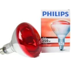 Philips Lampadina 250W Infrared Per 28653 Gima 1 Pezzo