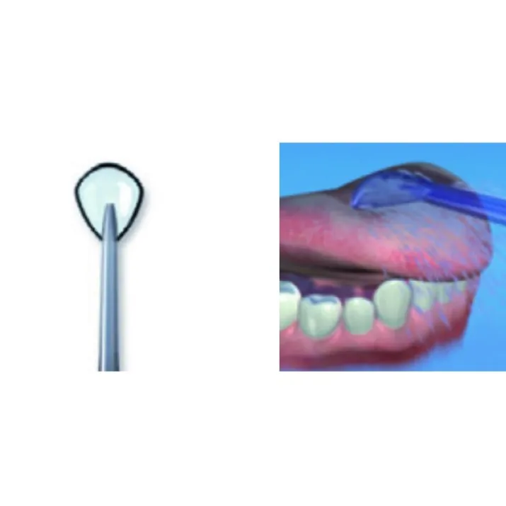 Puliscilingua Idropulsore TC-100E Waterpik®