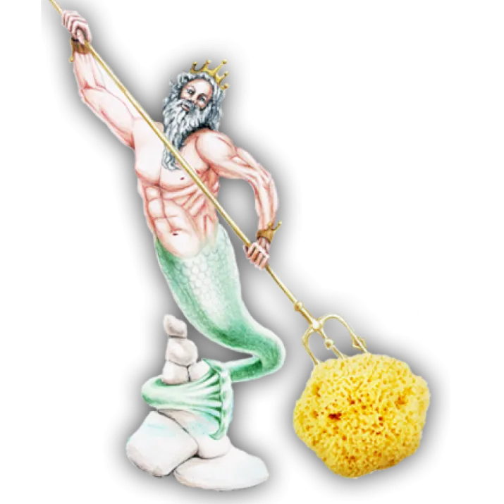 Spugnifici Bellini Spugna Di Mare Arcipelago 14 Pezzi