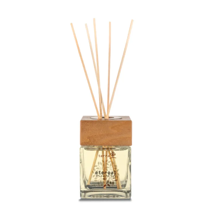 Terra Profumatore per Ambiente con Bastoncini Etereal 200ml