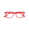 Twins Silver Flamingo Rosso +3.00 Twins Optical