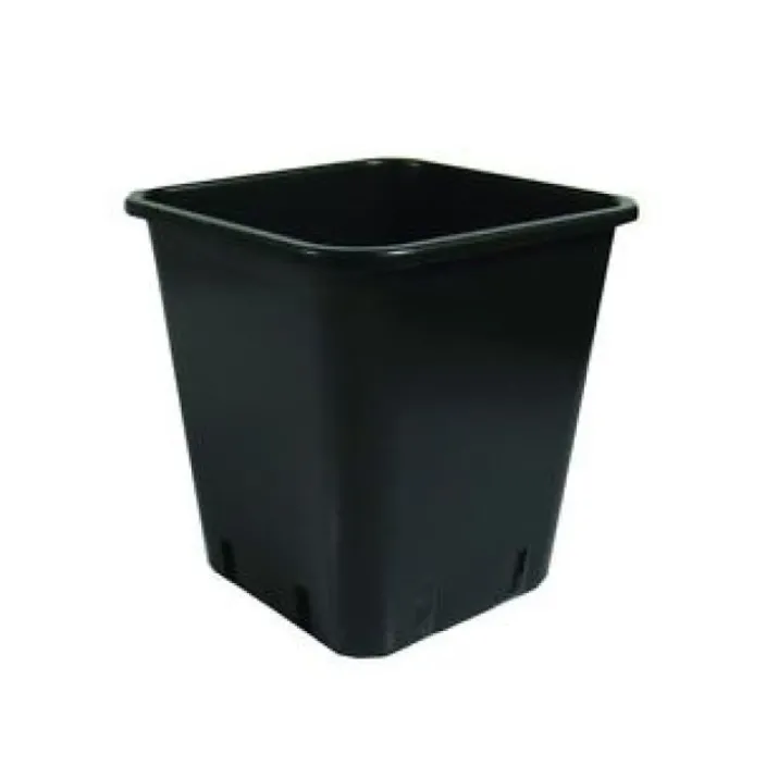 Wepa Vaso In Plastica Scura Quadrato 300ml 10 Pezzi